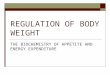 REGULATION OF BODY WEIGHT THE BIOCHEMISTRY OF APPETITE AND ENERGY EXPENDITURE