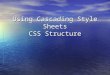 Using Cascading Style Sheets CSS Structure. Goals Understand how contextual, class and ID selectors work Understand how contextual, class and ID selectors