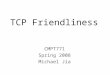 TCP Friendliness CMPT771 Spring 2008 Michael Jia