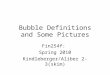 Bubble Definitions and Some Pictures Fin254f: Spring 2010 Kindleberger/Aliber 2-3(skim)