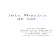 Jets Physics at CDF Sally Seidel University of New Mexico Ninth Adriatic Meeting 8 September 2003 for the CDF Collaboration