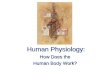 Human Physiology: How Does the Human Body Work? How Does the Human Body Work?