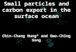 Small particles and carbon export in the surface ocean Chin-Chang Hung* and Gwo-Ching Gong National Taiwan Ocean University