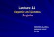 Lecture 11 Eugenics and Genetics: Anxieties BMS2250 Medical Ethics Semester 1, 2006-07 P. C. Lo