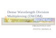 Dense Wavelength Division Multiplexing (DWDM) PRESENTED BY: JYOTI CHAWLA