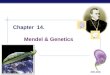 AP Biology 2005-2006 Chapter 14. Mendel & Genetics