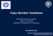 Copy Number Variations Jean-Baptiste Cazier  Jean-Baptiste.Cazier@well.ox.ac.uk DTC BioInformatics Course