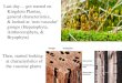 Last day… got started on Kingdom Plantae, general characteristics, & looked at ‘non-vascular’ groups (Hepatophyta, Anthocerophyta, & Bryophyta) Then, started