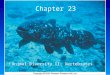 Copyright © 2005 Pearson Prentice Hall, Inc. Chapter 23 Animal Diversity II: Vertebrates
