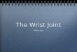 The Wrist Joint Muscles. Elbow flexors - anterior Elbow extensors - posterior Forearm pronators Forearm supinators