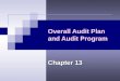 Overall Audit Plan and Audit Program Chapter 13. Midterm topic guide will be ready and posted to the website by sometime Saturday (2/25)