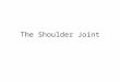 The Shoulder Joint. Bones of the shoulder joint Scapula –Glenoid FossaInfraspinatus fossa –Supraspinatus fossaSubscapular fossa –SpineCoracoid process