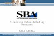 Financing Value-Added Ag Ventures Gail Gesell. Sources of Small Business Financing Self-funding Expand current business Re-direct to new niche