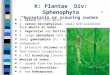 K: Plantae Div: Sphenophyta “horsetails or scouring rushes” n 1. Silica in cell walls. n 2. Leaves microphyllous; small and scalelike; form whorls at nodes