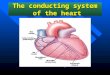 The conducting system of the heart 1. The nodal system: Which consists of two nodes in the right atrium: The sinoatrial node (also called the S-A node