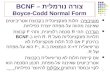 אביב-תשס"ז236363 - DBMS, Design1 צורה נורמלית – BCNF Boyce-Codd Normal Form מוטיבציה: תלות פונקציונלית בקבוצת אטריביוטים
