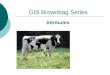 GIS Brownbag Series Attributes. In the beginning… Earliest GIS systems did not have attributes Needed separate layers for labels (e.g. names) CAD software