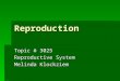 Reproduction Topic # 3025 Reproductive System Melinda Klockziem