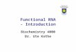 Functional RNA - Introduction Biochemistry 4000 Dr. Ute Kothe