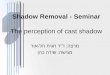 Shadow Removal - Seminar The perception of cast shadow מרצה: ד"ר חגית הל-אור מגישה: שירה כהן