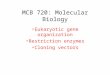 MCB 720: Molecular Biology Eukaryotic gene organization Restriction enzymes Cloning vectors
