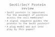 Sec61/SecY Protein review Sec61 protein is important for the movement of proteins across the cell membrane? A signal sequence guides the protein to the