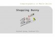 |Computergraphics on Mobile Devices Shopping Bunny Reinhard Sprung, Ferdinand Pilz