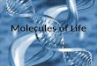 Molecules of Life. Polymers Are Built of Monomers Organic molecules are formed by living organisms – have a carbon-based core – the core has attached