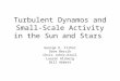 Turbulent Dynamos and Small-Scale Activity in the Sun and Stars George H. Fisher Dave Bercik Chris Johns-Krull Lauren Alsberg Bill Abbett