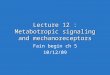 Lecture 12 : Metabotropic signaling and mechanoreceptors Fain begin ch 5 10/12/09