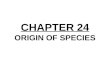 CHAPTER 24 ORIGIN OF SPECIES. CHAPTER 24 THE ORIGIN OF SPECIES Section A: What Is a Species? 1.The biological species concept emphasizes reproductive