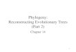 1 Phylogeny: Reconstructing Evolutionary Trees (Part 2) Chapter 14
