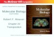 Molecular Biology Fourth Edition Chapter 23 Transposition Lecture PowerPoint to accompany Robert F. Weaver Copyright © The McGraw-Hill Companies, Inc
