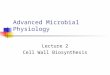 Advanced Microbial Physiology Lecture 2 Cell Wall Biosynthesis