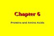 Chapter 6 Proteins and Amino Acids. General Amino Acid Structure