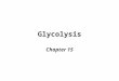 Glycolysis Chapter 15. Definitions, notes Sequence of 10 rxns –Converts glu  pyruvate –Some ATP –Divided – 5 “preparatory”, 5 “payoff” Glycolytic intermediates