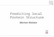 Predicting local Protein Structure Morten Nielsen