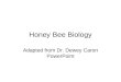 Honey Bee Biology Adapted from Dr. Dewey Caron PowerPoint