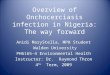 Overview of Onchocerciasis infection in Nigeria: The way forward Anidi MaryStella, MPH Student Walden University PH6165-4 Environmental Health Instructor: