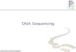 CS273a Lecture 4, Autumn 08, Batzoglou DNA Sequencing