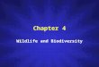 Chapter 4 Wildlife and Biodiversity. Consider the improbability of our current biodiversity –One small turn in a different direction at many points along