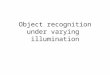 Object recognition under varying illumination. Lighting changes objects appearance