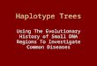 Haplotype Trees Using The Evolutionary History of Small DNA Regions To Investigate Common Diseases