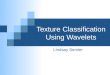 Texture Classification Using Wavelets Lindsay Semler