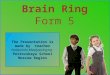 Brain Ring Form 5 The Presentation is made by teacher Nadezhda Maslyanitsyna, Petrovskaya School Moscow Region