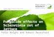 The New Zealand Institute for Plant & Food Research Limited Fungicide effects on Sclerotinia rot of lettuce Peter Wright and Robert Beresford