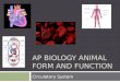 AP BIOLOGY ANIMAL FORM AND FUNCTION Circulatory System