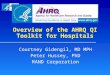 Overview of the AHRQ QI Toolkit for Hospitals Courtney Gidengil, MD MPH Peter Hussey, PhD RAND Corporation
