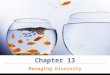 Chapter 13 Managing Diversity. The differences people bring to the workplace are valuable The workforce is changing as organizations build cohesive teams: