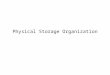 Physical Storage Organization. Advanced DatabasesPhysical Storage Organization2 Outline Where and How data are stored? –physical level –logical level